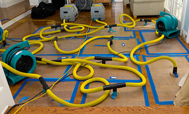 Professional Basement Flood Cleanup technician working in Winthrop, MA